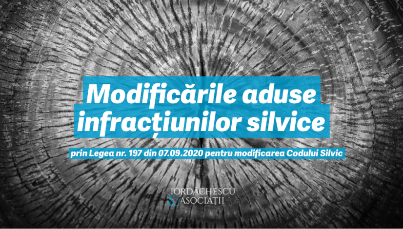 PNG image-B5407B24C845-1